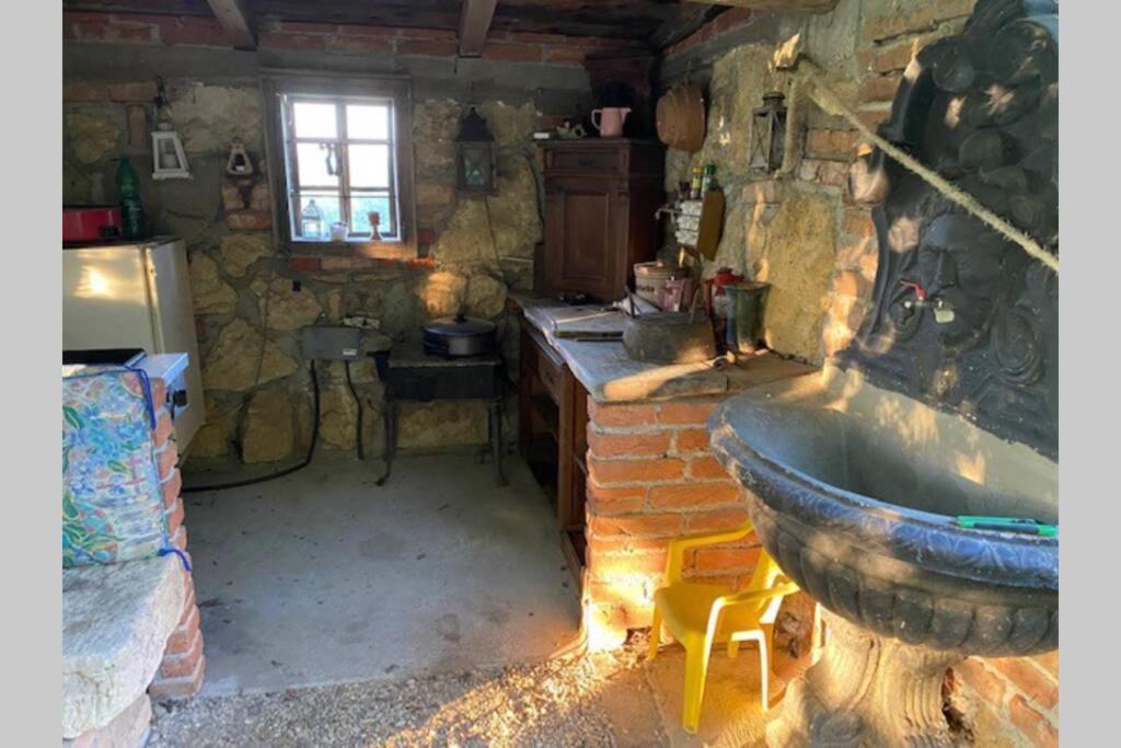 Apartma Jozica In Toncek スヴェティ・ユリイ・オプ・シュチャヴニツィ エクステリア 写真